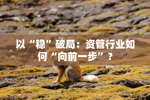 以“稳”破局：资管行业如何“向前一步”？
