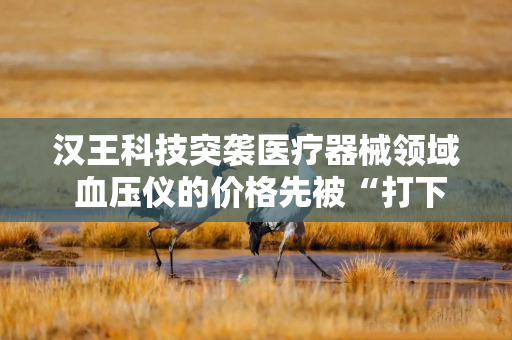 汉王科技突袭医疗器械领域 血压仪的价格先被“打下来”了！
