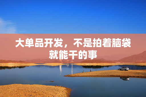 大单品开发，不是拍着脑袋就能干的事