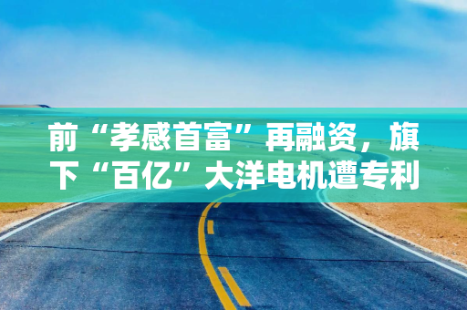 前“孝感首富”再融资，旗下“百亿”大洋电机遭专利诉讼