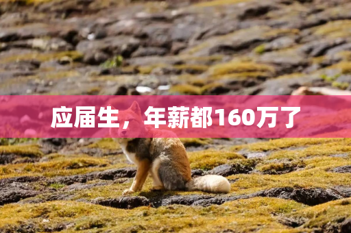 应届生，年薪都160万了