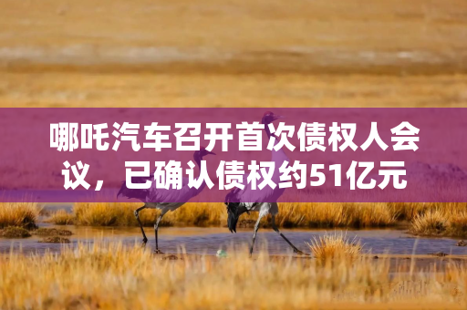哪吒汽车召开首次债权人会议，已确认债权约51亿元