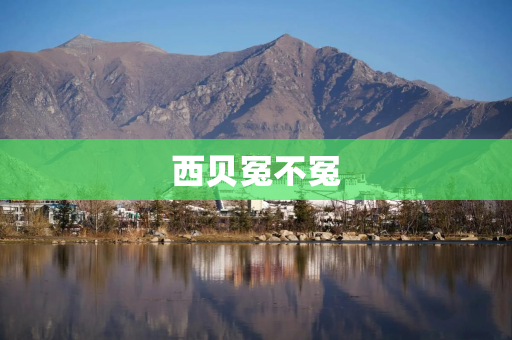 西贝冤不冤