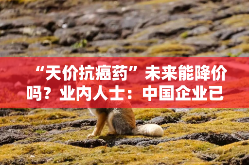 “天价抗癌药”未来能降价吗？业内人士：中国企业已具备成本优势