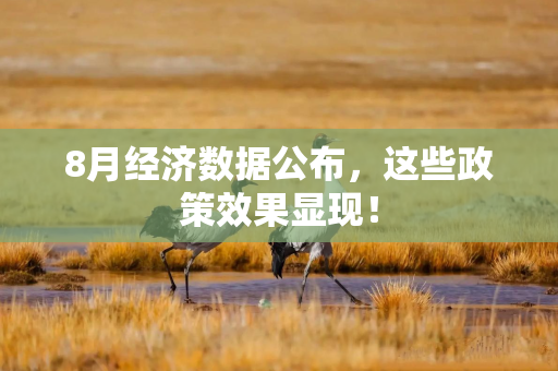 8月经济数据公布，这些政策效果显现！