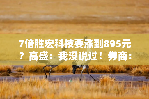 7倍胜宏科技要涨到895元？高盛：我没说过！券商：PCB景气度远未结束！