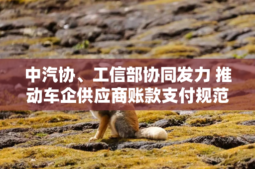 中汽协、工信部协同发力 推动车企供应商账款支付规范走深走实