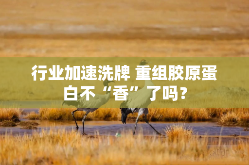 行业加速洗牌 重组胶原蛋白不“香”了吗？