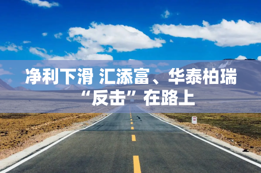 净利下滑 汇添富、华泰柏瑞“反击”在路上