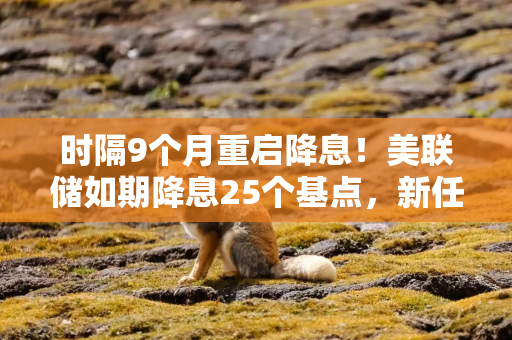 时隔9个月重启降息！美联储如期降息25个基点，新任理事投了反对票（声明全文）