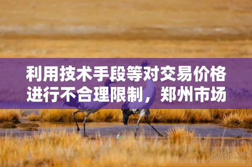 利用技术手段等对交易价格进行不合理限制，郑州市场监管部门约谈携程