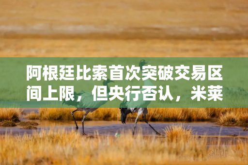 阿根廷比索首次突破交易区间上限，但央行否认，米莱政府外汇策略面临考验