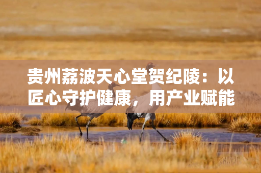 贵州荔波天心堂贺纪陵：以匠心守护健康，用产业赋能乡村