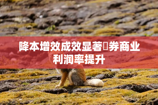 降本增效成效显著 券商业利润率提升