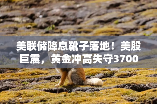 美联储降息靴子落地！美股巨震，黄金冲高失守3700美元