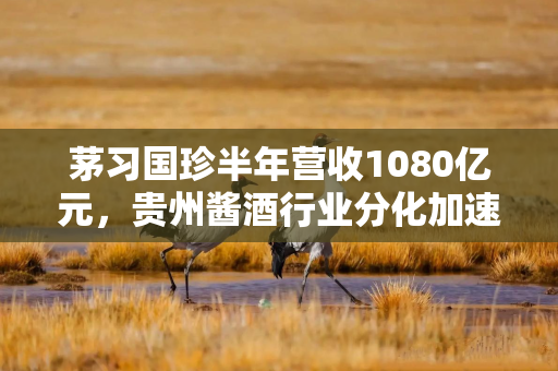 茅习国珍半年营收1080亿元，贵州酱酒行业分化加速