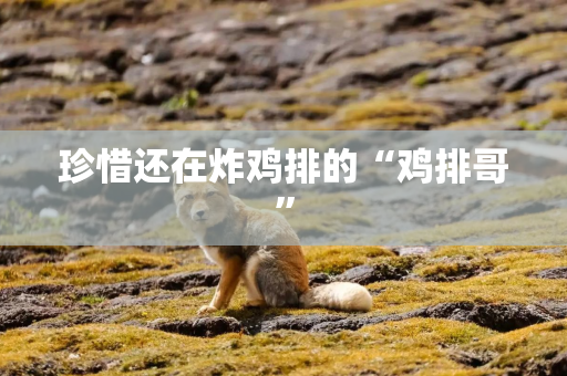 珍惜还在炸鸡排的“鸡排哥”
