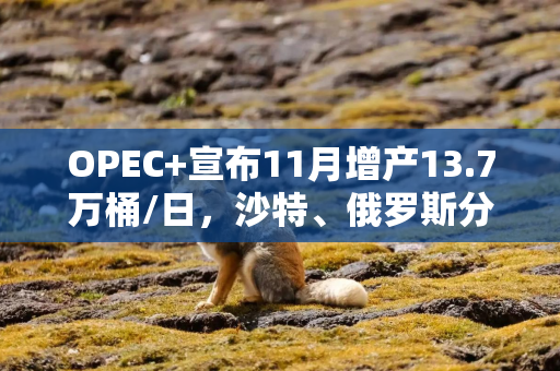 OPEC+宣布11月增产13.7万桶/日，沙特、俄罗斯分歧后达成妥协
