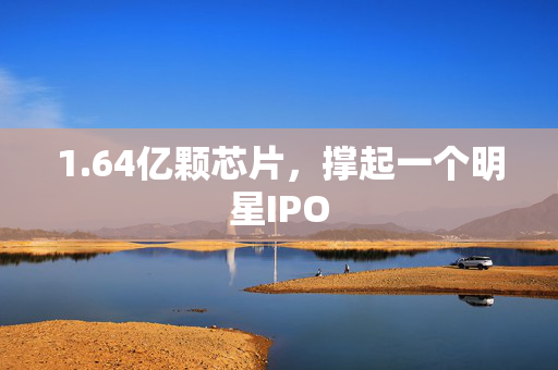 1.64亿颗芯片，撑起一个明星IPO