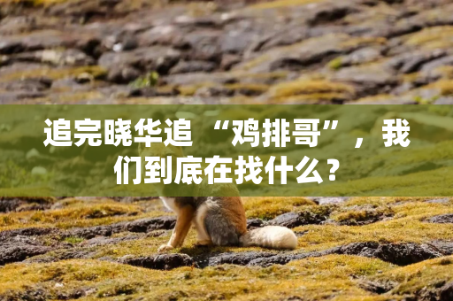 追完晓华追 “鸡排哥”，我们到底在找什么？