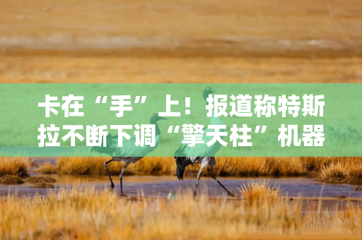卡在“手”上！报道称特斯拉不断下调“擎天柱”机器人产量目标，夏天已降至2000台