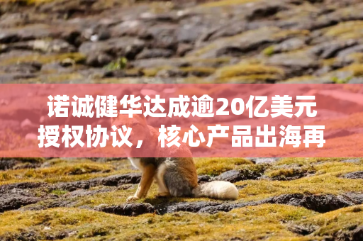 诺诚健华达成逾20亿美元授权协议，核心产品出海再获突破