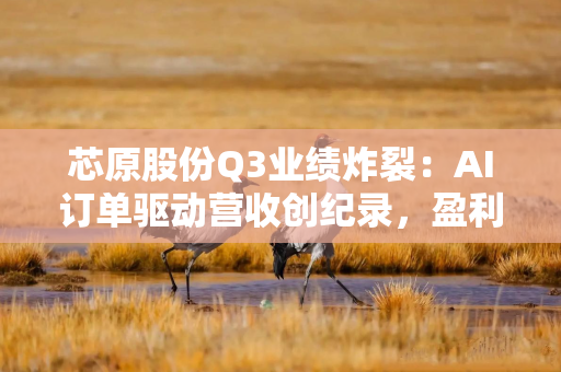 芯原股份Q3业绩炸裂：AI订单驱动营收创纪录，盈利拐点或已不远