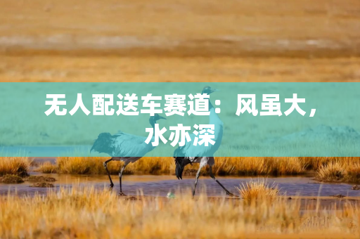 无人配送车赛道：风虽大，水亦深