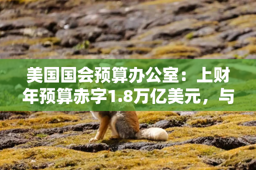 美国国会预算办公室：上财年预算赤字1.8万亿美元，与2024财年近乎持平