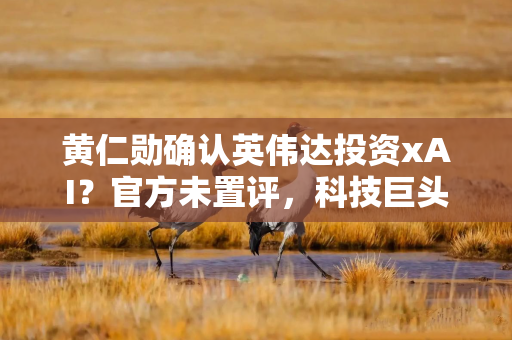 黄仁勋确认英伟达投资xAI？官方未置评，科技巨头加速结盟AI基建投资
