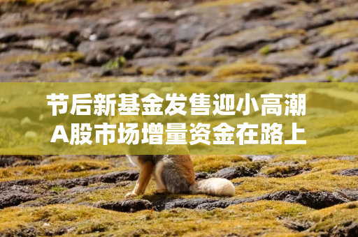 节后新基金发售迎小高潮 A股市场增量资金在路上