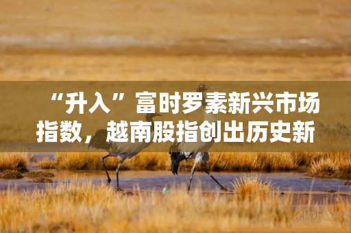 “升入”富时罗素新兴市场指数，越南股指创出历史新高