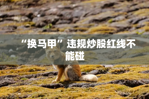 “换马甲”违规炒股红线不能碰