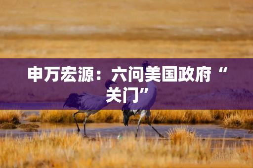 申万宏源：六问美国政府“关门”