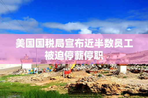 美国国税局宣布近半数员工被迫停薪停职