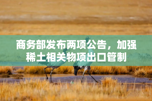 商务部发布两项公告，加强稀土相关物项出口管制