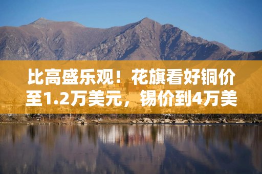 比高盛乐观！花旗看好铜价至1.2万美元，锡价到4万美元