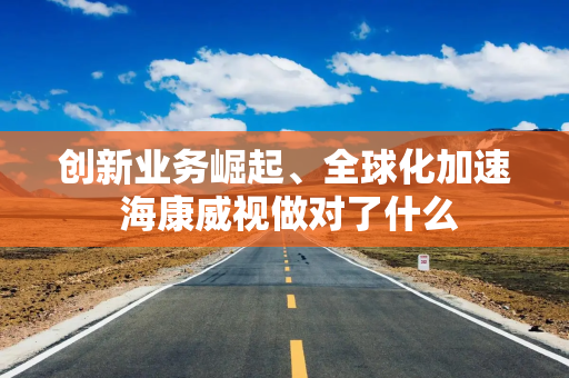 创新业务崛起、全球化加速 海康威视做对了什么