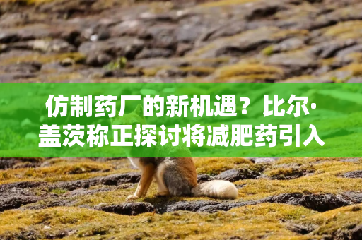 仿制药厂的新机遇？比尔·盖茨称正探讨将减肥药引入低收入国家