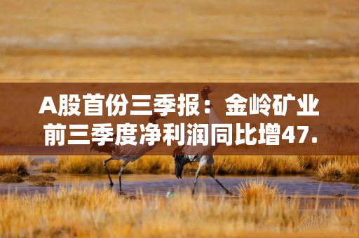A股首份三季报：金岭矿业前三季度净利润同比增47.09%，单季度净利润增速放缓