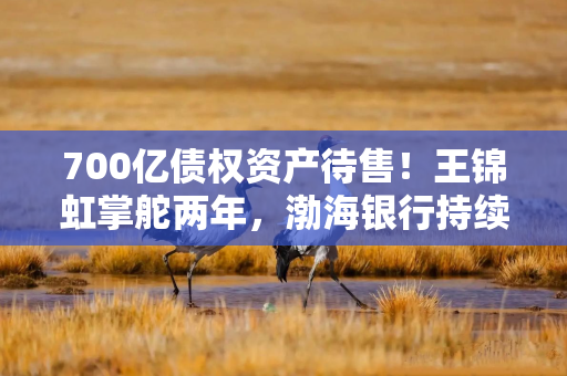 700亿债权资产待售！王锦虹掌舵两年，渤海银行持续甩包袱