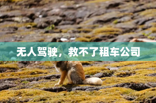 无人驾驶，救不了租车公司