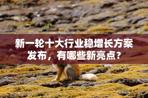 新一轮十大行业稳增长方案发布，有哪些新亮点？