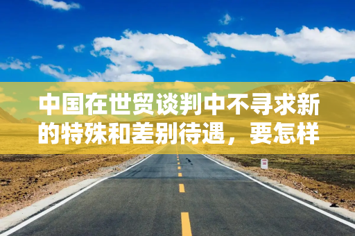 中国在世贸谈判中不寻求新的特殊和差别待遇，要怎样落实？商务部回应