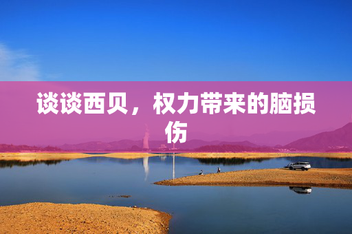 谈谈西贝，权力带来的脑损伤
