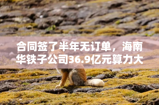 合同签了半年无订单，海南华铁子公司36.9亿元算力大单告吹 上交所火速发函