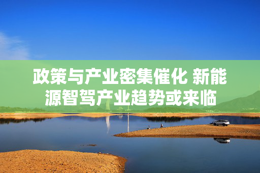 政策与产业密集催化 新能源智驾产业趋势或来临