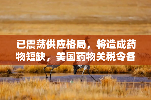 已震荡供应格局，将造成药物短缺，美国药物关税令各方不安