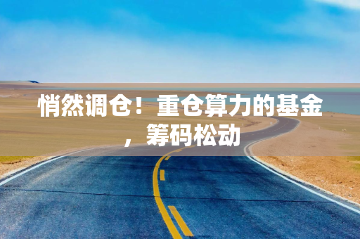 悄然调仓！重仓算力的基金，筹码松动