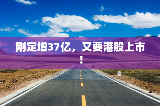 刚定增37亿，又要港股上市！